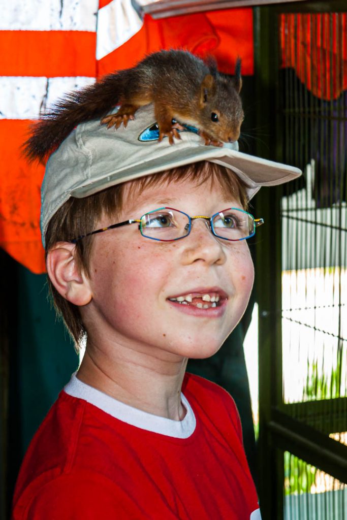 Ein Eichhörnchen sitzt auf der Schirmmütze eines Jungen mit Zahnlücke / © Foto: Georg Berg
