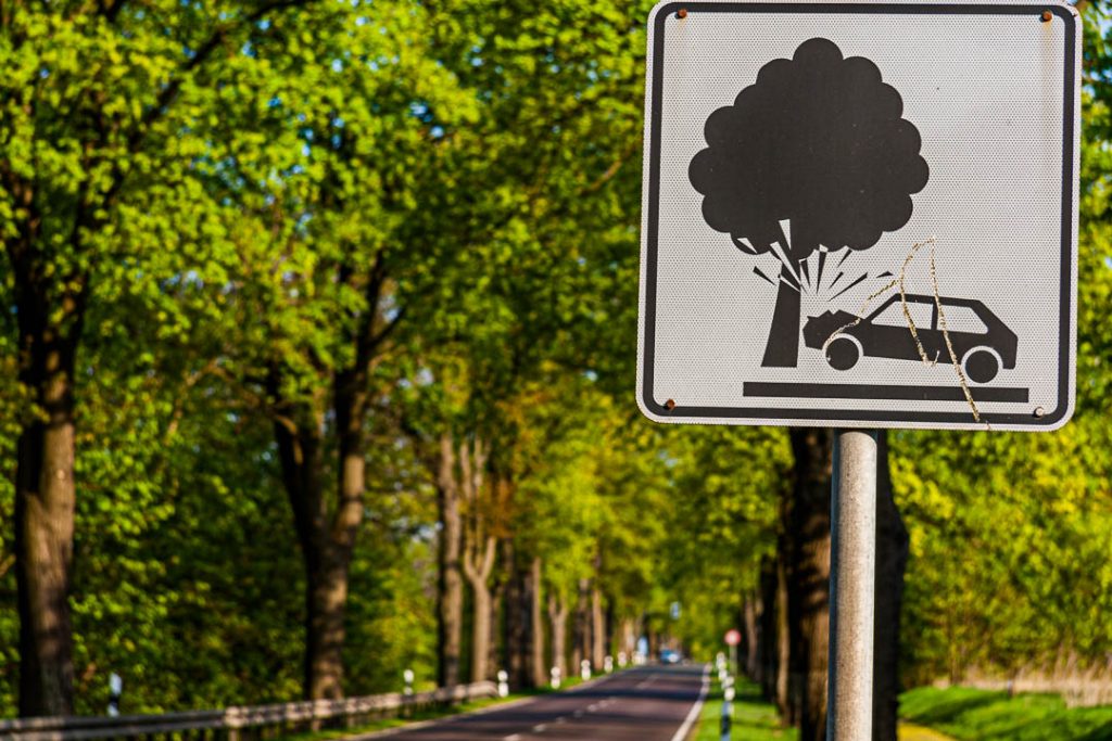 In einer Allee warnt ein Verkehrsschild vor Zusammenstoß mit Baum / © Foto: Georg Berg
