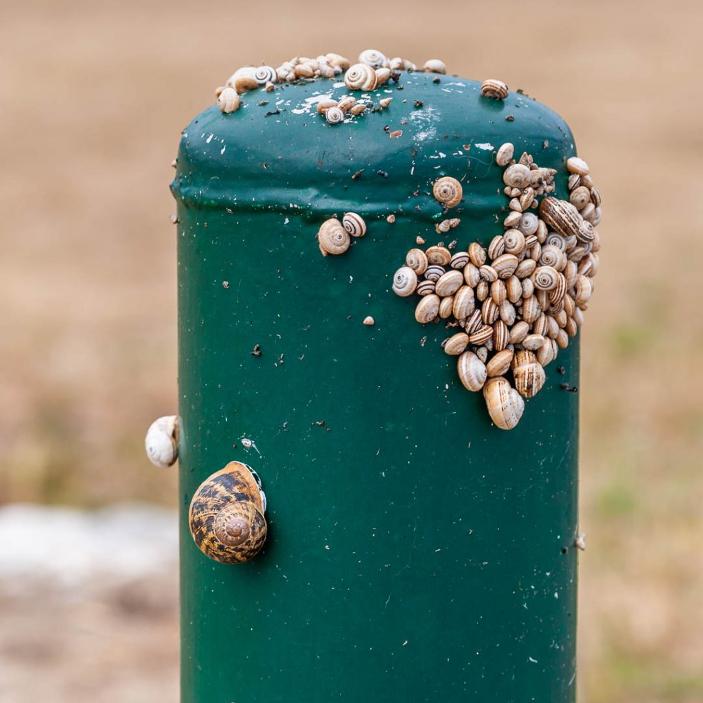 _DB_6752-eyeturner-georg-berg
