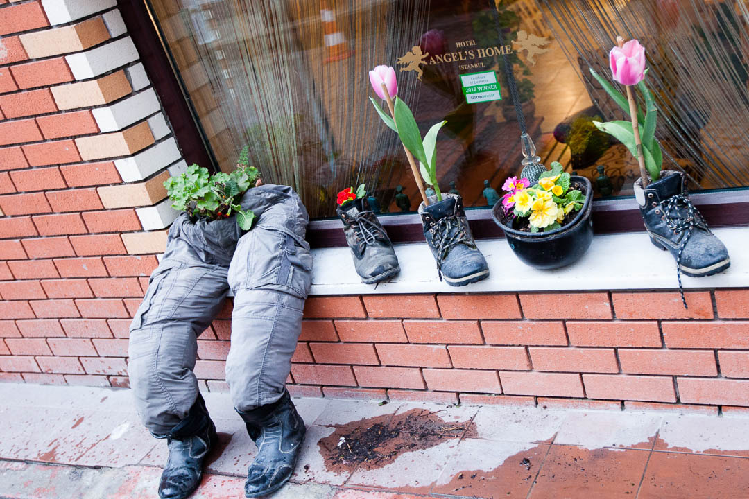 Schuhe, Stiefel, Helm und Hosen, die als Blumentopf dienen / © Foto: Georg Berg